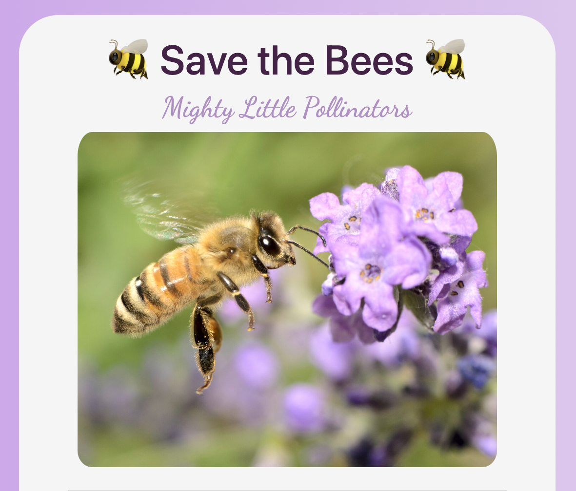 Photo of Bee Page